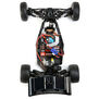 Losi Mini-B 1/16 RTR 2WD Buggy  w/2.4GHz Radio, Battery & Charger
